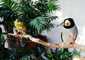 IMG20151219132247.jpg