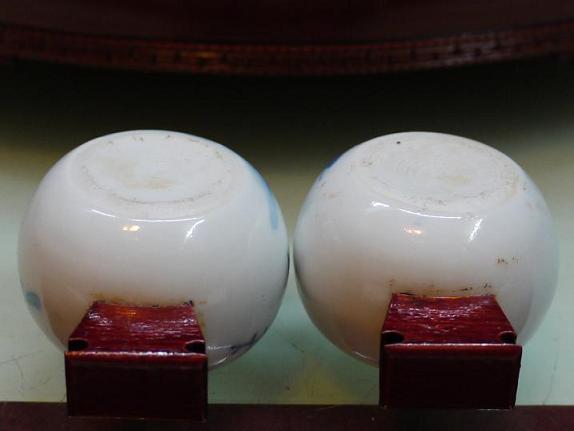 P1050080.JPG