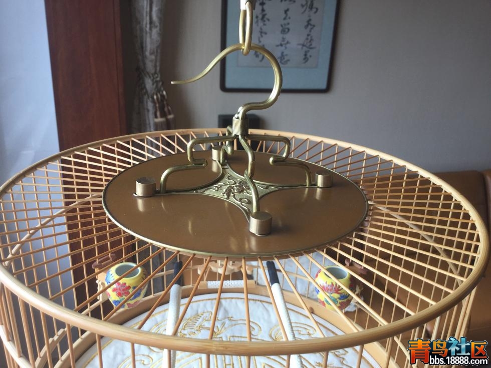 荷塘锦绣 008.jpg