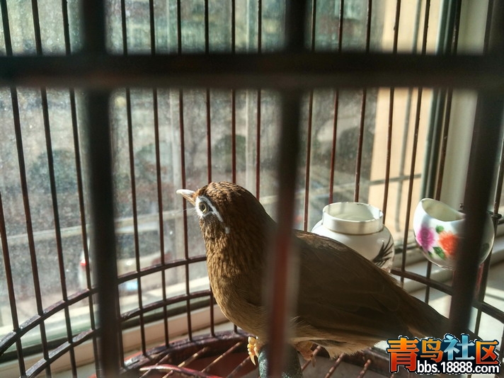 IMG_20151204_104009_HDR.jpg