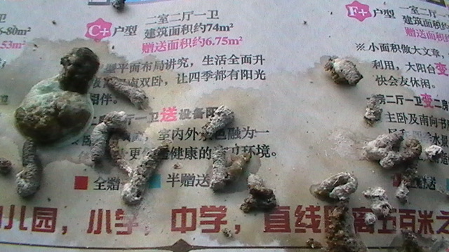 S1510004.JPG