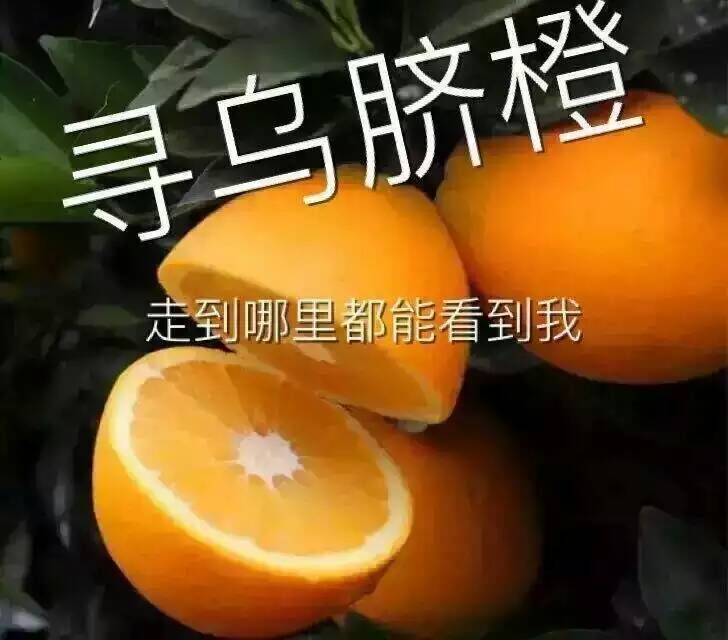 QQ图片20151226203917.jpg