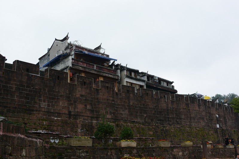 DSC_3546_缩小大小.JPG