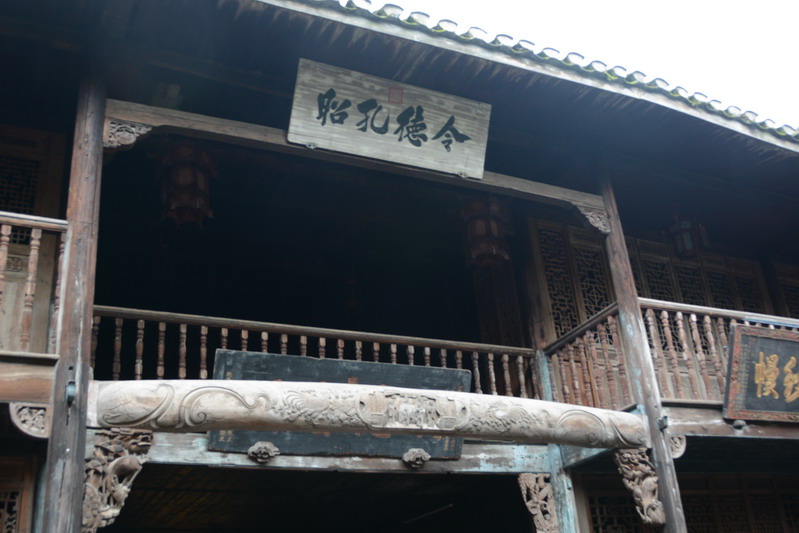 DSC_3540_缩小大小.JPG