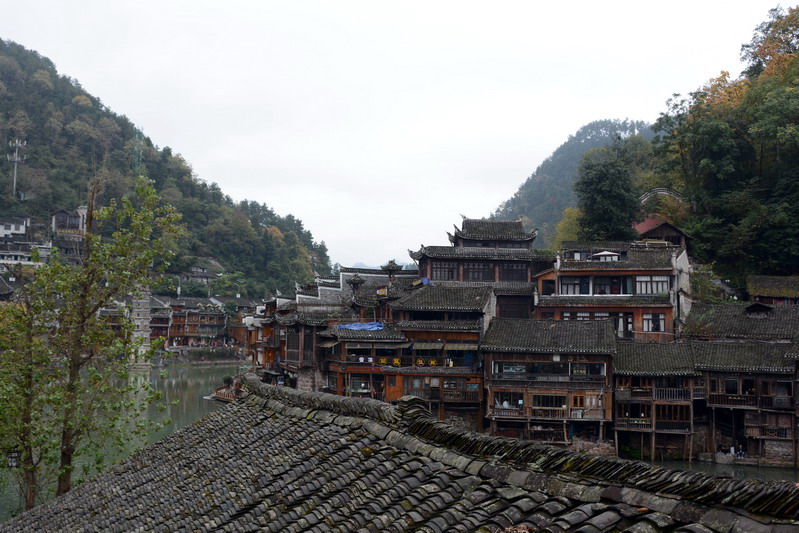 DSC_3599_缩小大小.jpg