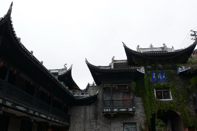DSC_3583_缩小大小.JPG
