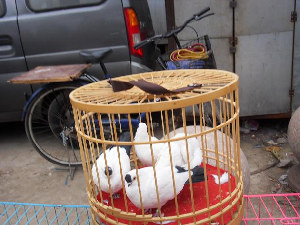 中10.JPG