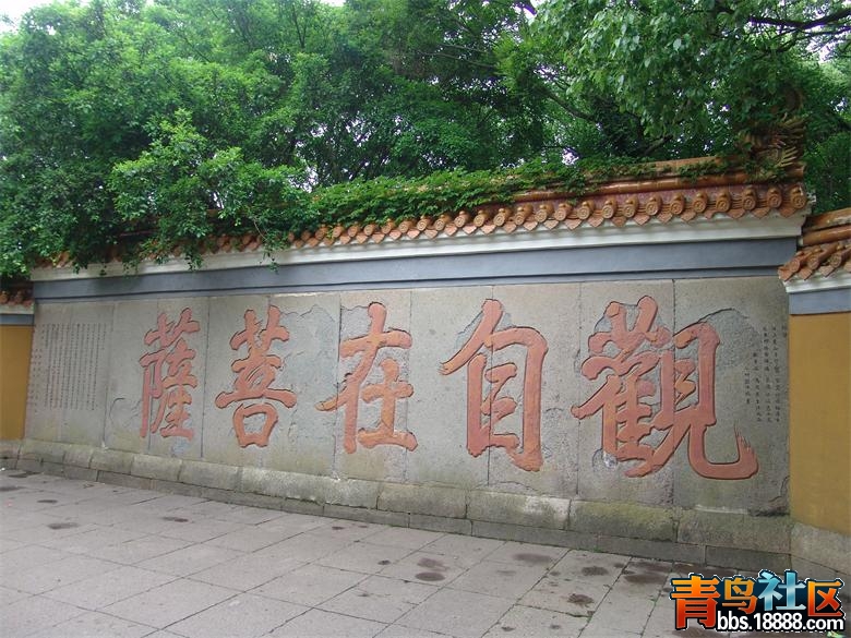 DSC02454.JPG