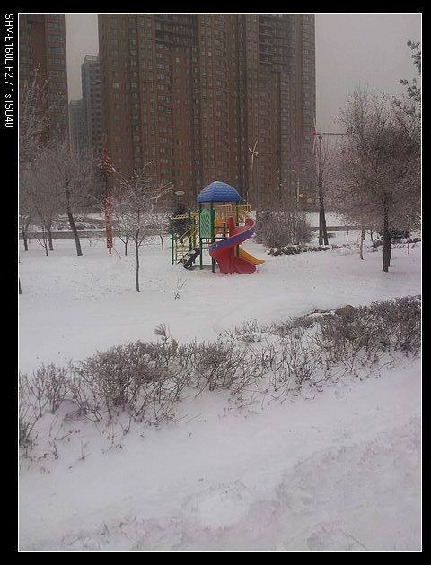 nEO_IMG_20151223_075626.jpg