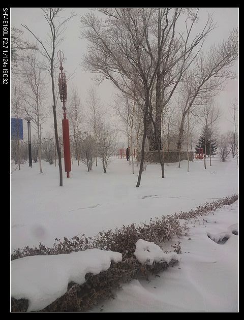 nEO_IMG_20151223_075540.jpg