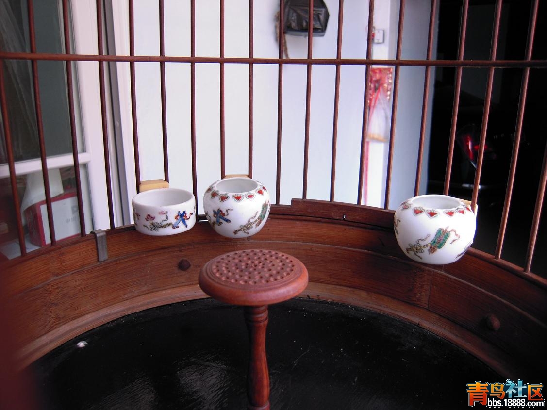 DSCN0646.JPG