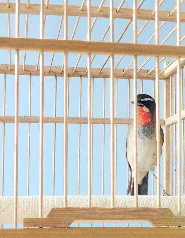 psb222222222222222222222222222.jpg