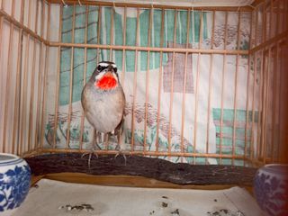 IMG_20151229_102357.jpg