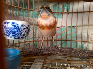 IMG_20151229_100948.jpg