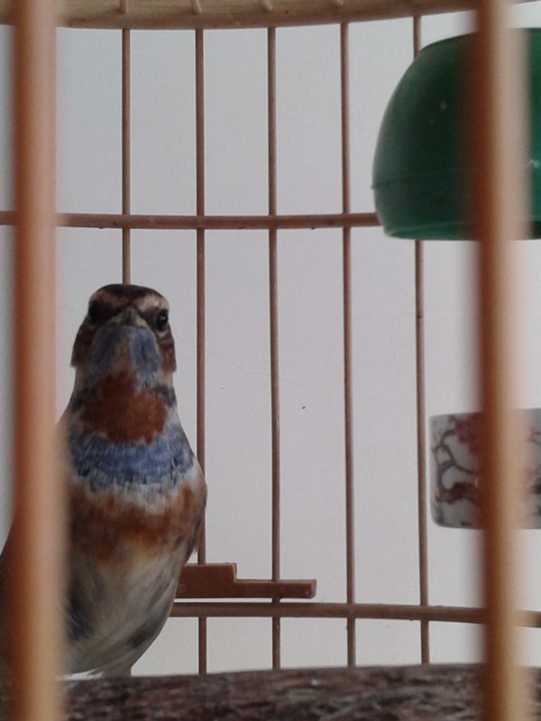 20150816_091834.jpg