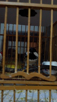IMG_20151202_182757_SHOT2SHOT4.jpg