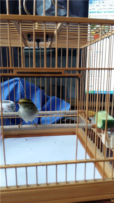 20151223_100907(0)(1)_副本_副本.jpg