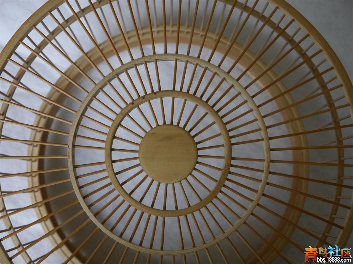 P1010652.JPG