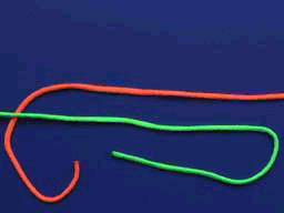 88bca564034f78f028ef387879310a55b2191c22.gif