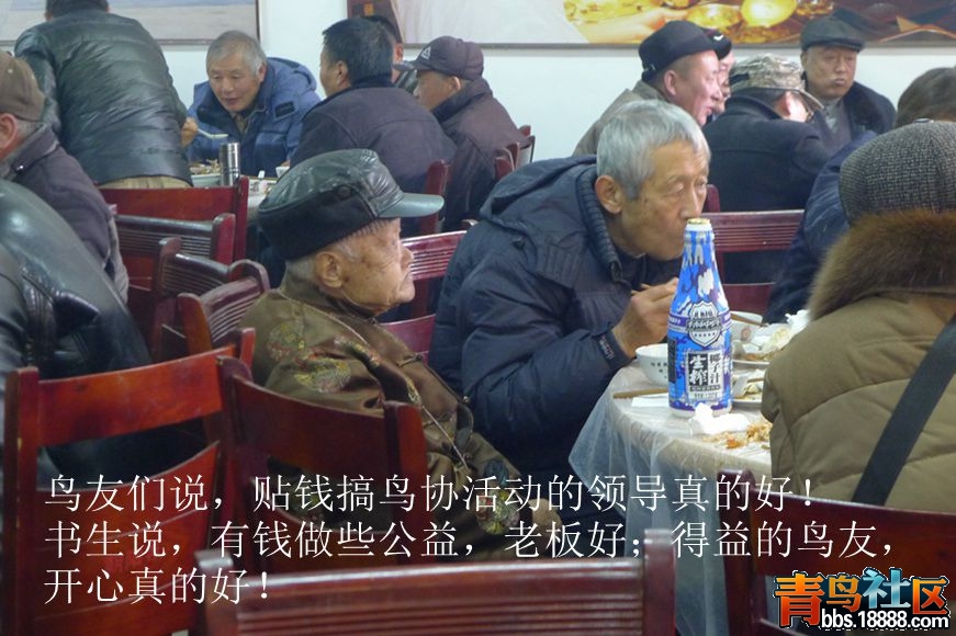鸟会图片41.jpg