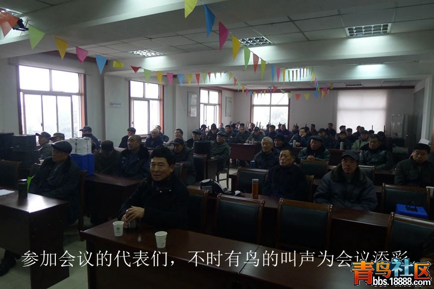 鸟会图片09.jpg