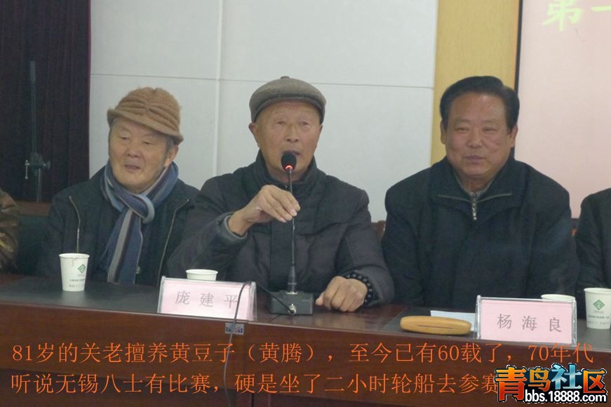 鸟会图片15.jpg