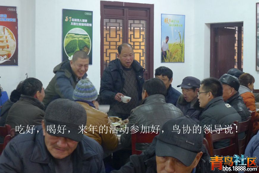 鸟会图片40.jpg