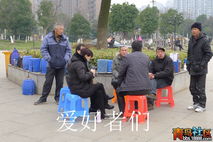 鸟会图片29.jpg