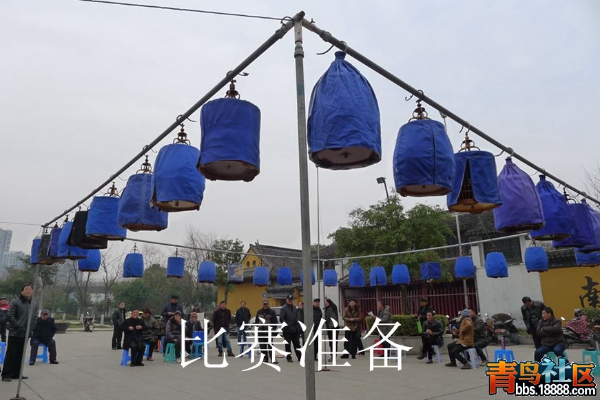 鸟会图片19.jpg
