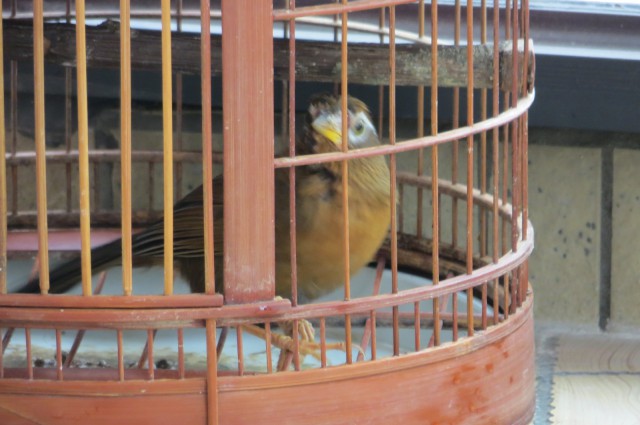 IMG_0601 [最大宽度 640 最大高度 480].jpg
