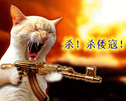 杀鬼子.gif