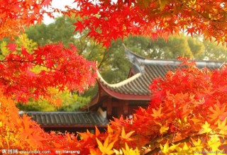 1624052_154802476000_2 [最大宽度 320 最大高度 240].jpg