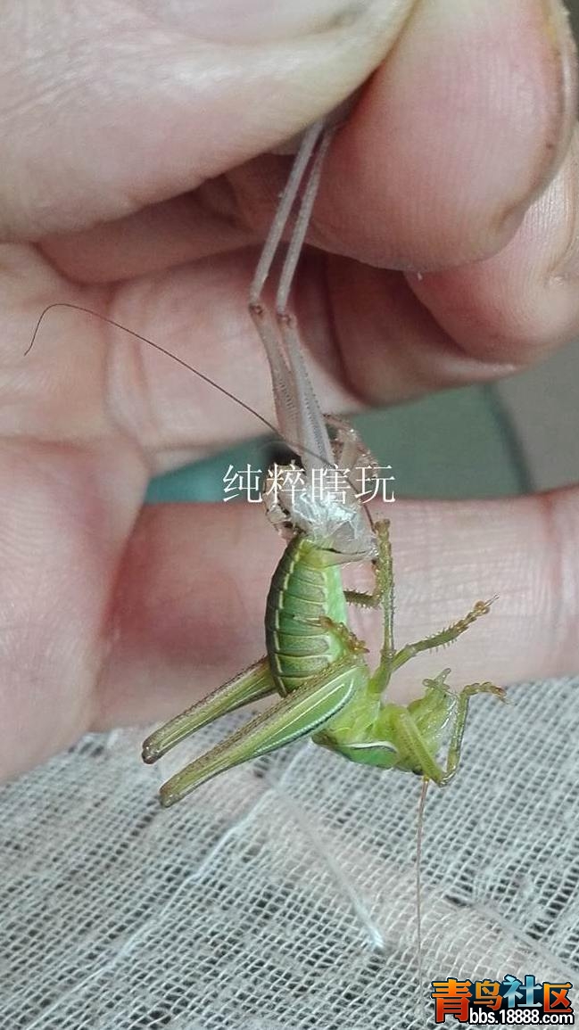 IMG_20160112_132238_副本.jpg