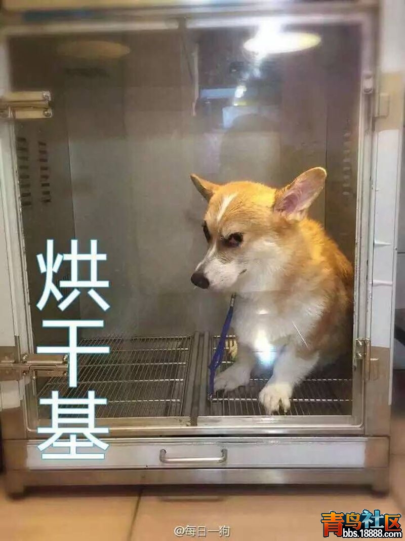 5_副本.jpg
