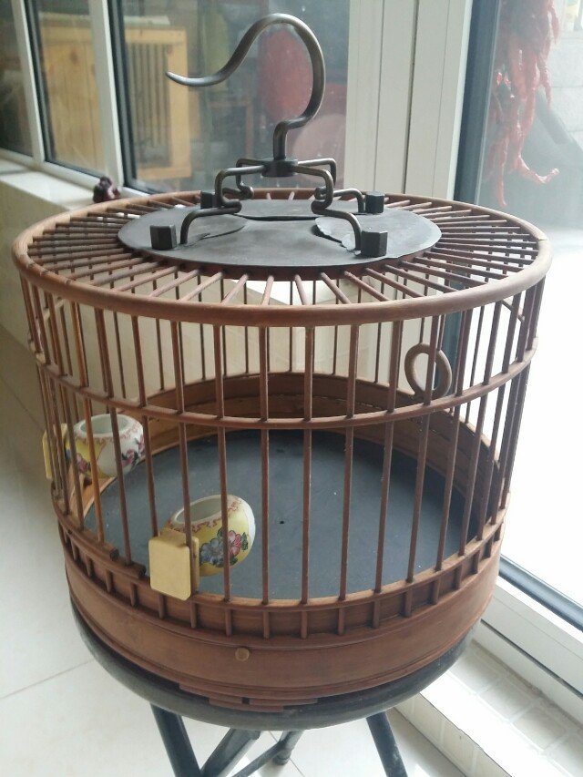 康4.jpg
