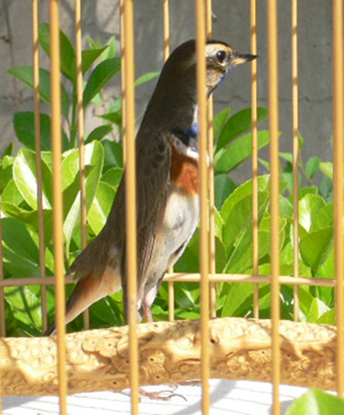 P1030274_副本.jpg