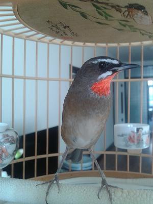 2014-01-30 09.25.59_meitu_1.jpg
