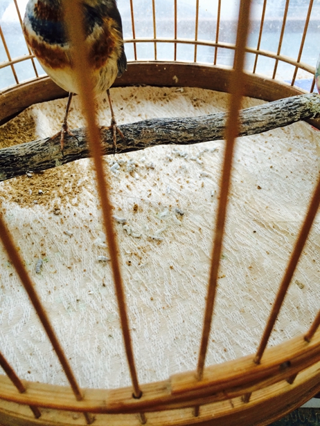IMG_3632_副本.jpg