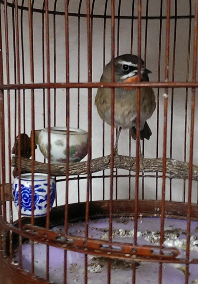 IMAG0904.jpg