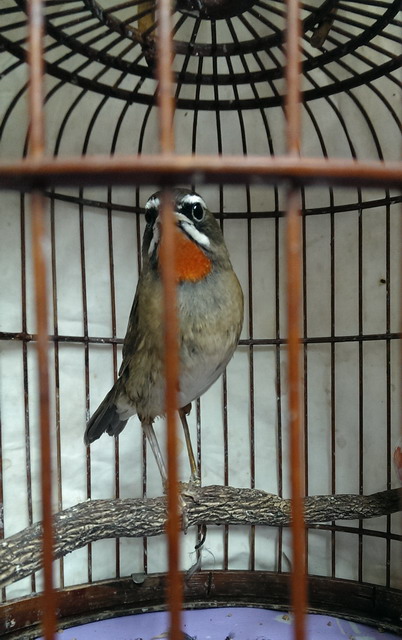 IMAG0945.jpg