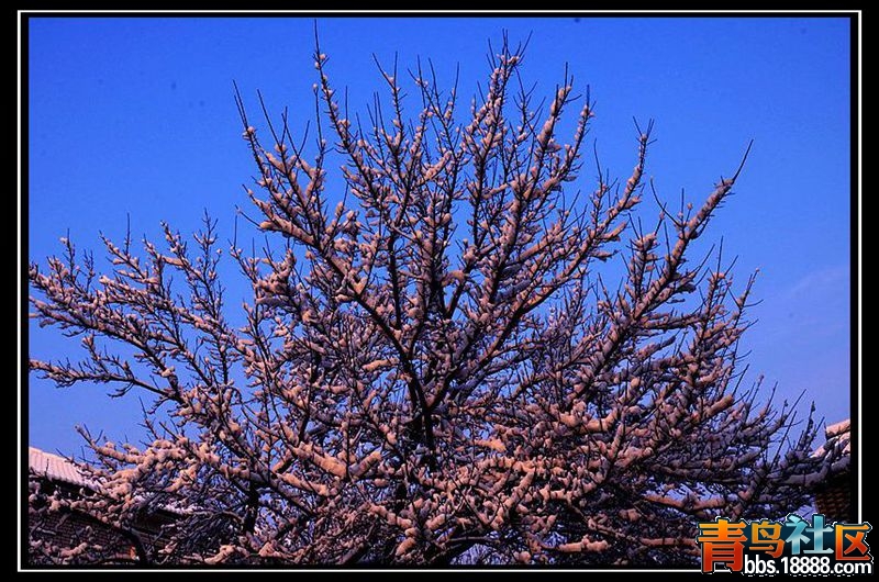 IMG_6318_副本a.jpg