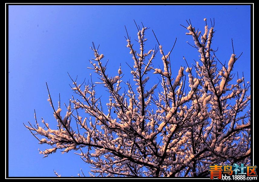 IMG_6333_副本a.jpg