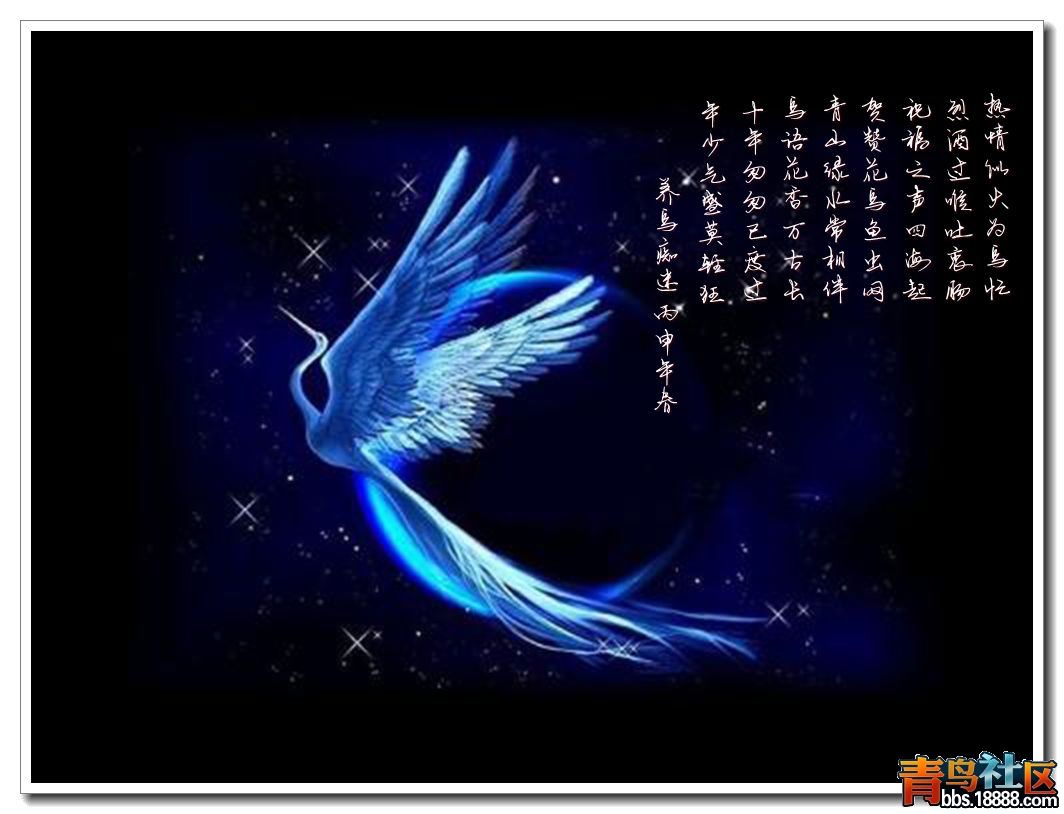 青鸟_副本.jpg