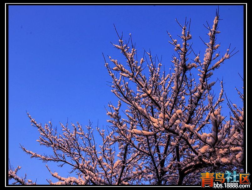IMG_6320_副本a.jpg