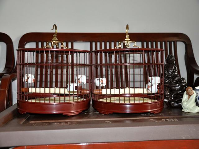 DSC_0549.JPG