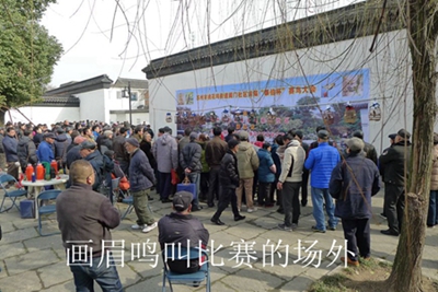 鸟会图片40.jpg