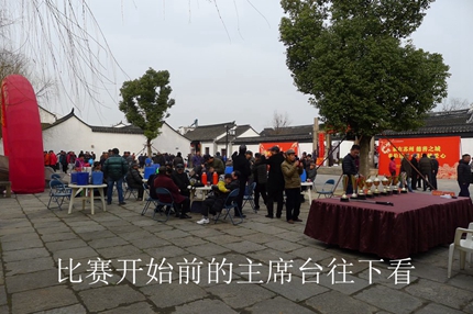 鸟会图片13.jpg