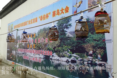 鸟会图片53.jpg
