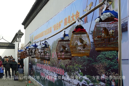 鸟会图片38.jpg