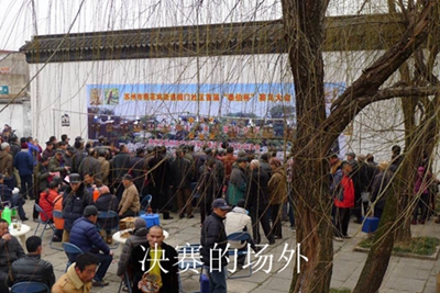 鸟会图片47.jpg